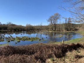 early spring body of water